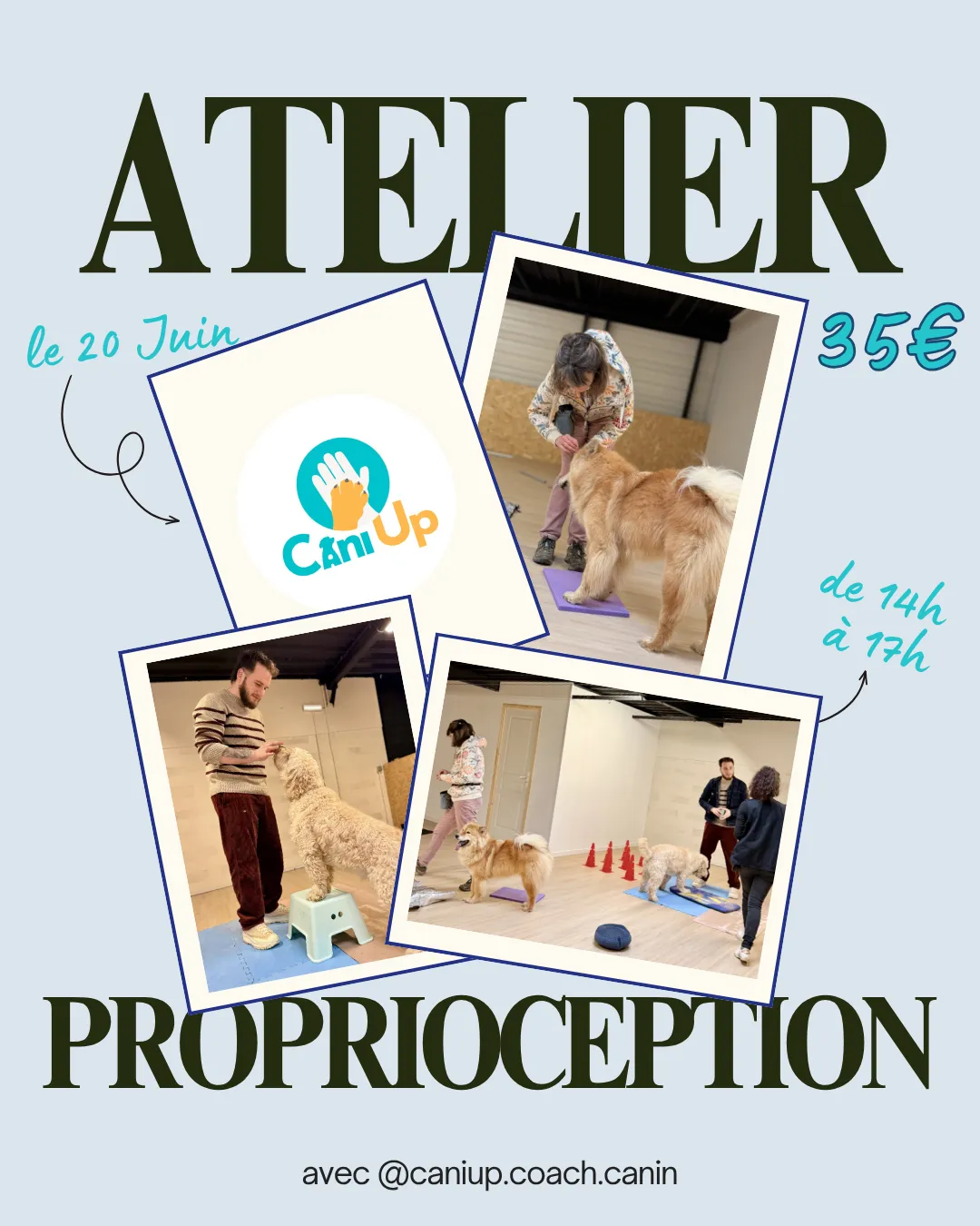 Atelier proprioception canine avec Mélanie Caniup à Puppy Corner Metz